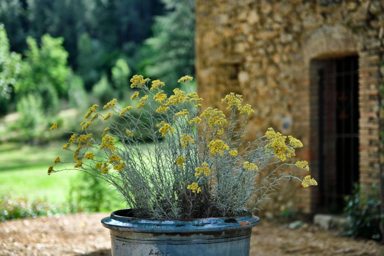 Les Jardins De Falguiere سان جان دو جارد المظهر الخارجي الصورة