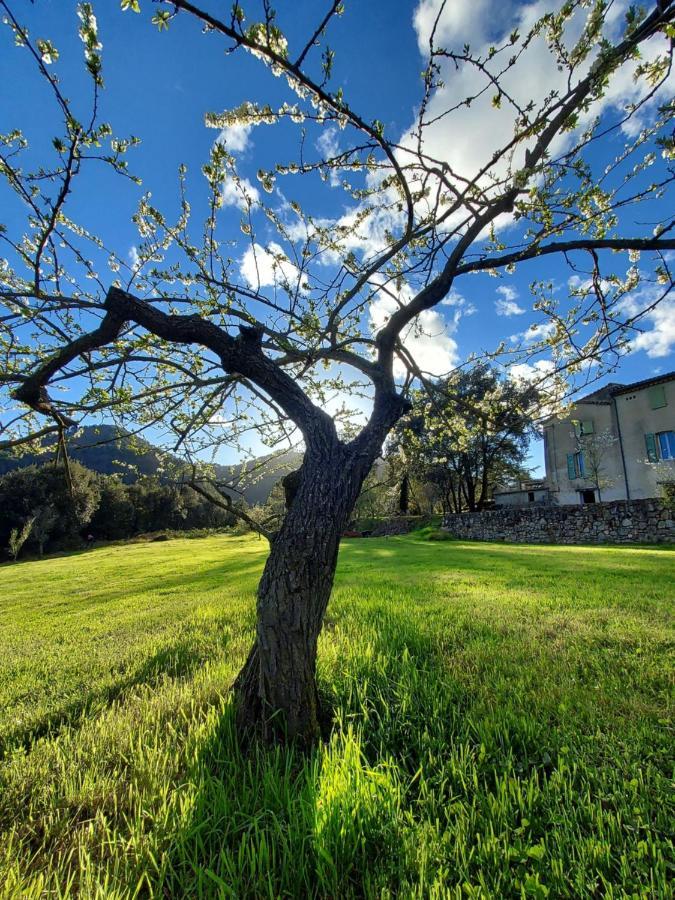 Les Jardins De Falguiere سان جان دو جارد المظهر الخارجي الصورة