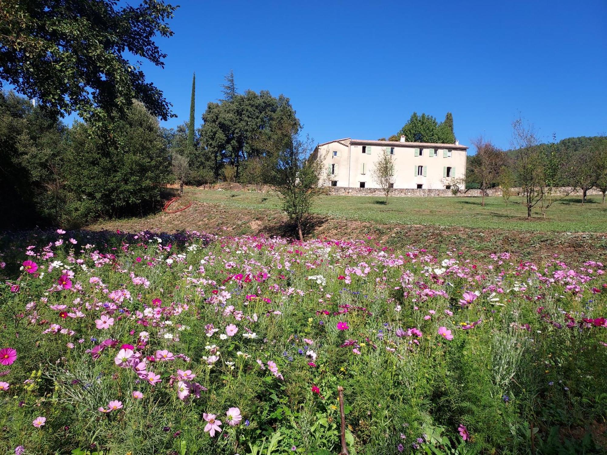 Les Jardins De Falguiere سان جان دو جارد المظهر الخارجي الصورة